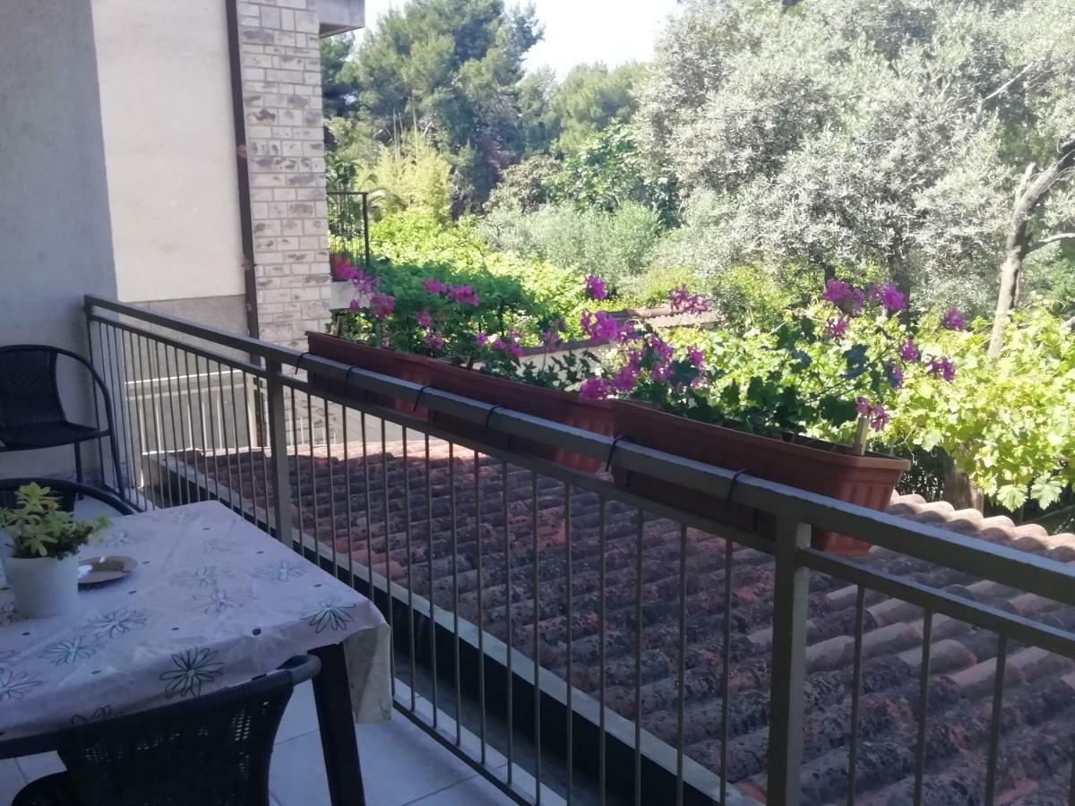 Apartments Jadranka Ivana Пула Екстер'єр фото